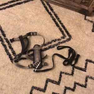 Grey harness Black leash